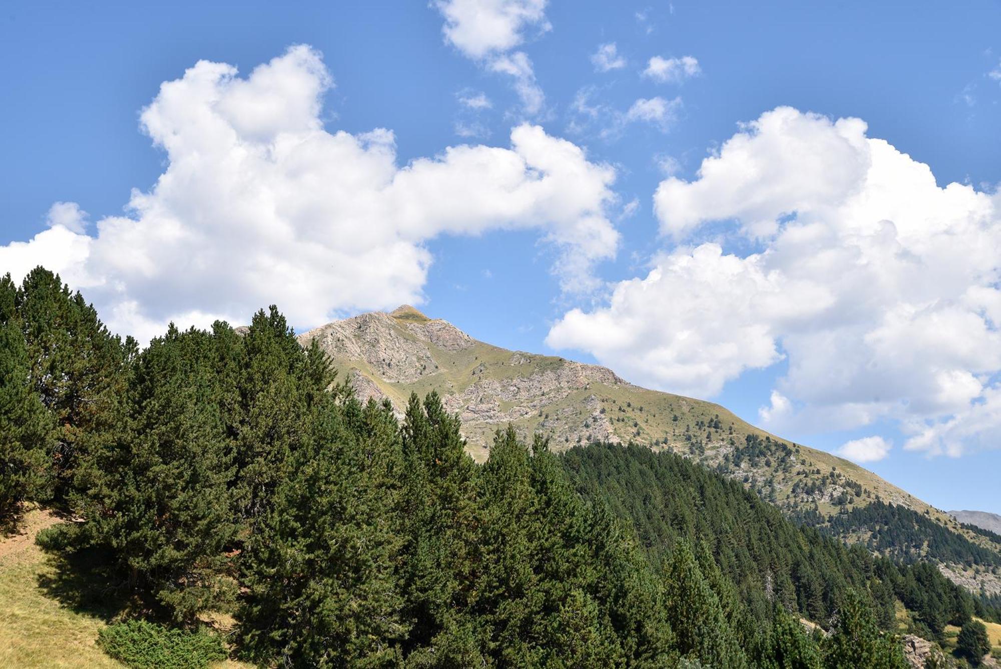 Nh Collection Andorra Palome Hotell Erts Eksteriør bilde